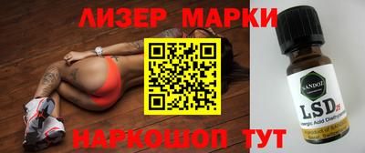 индика Будённовск