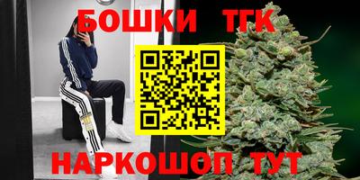 индика Будённовск