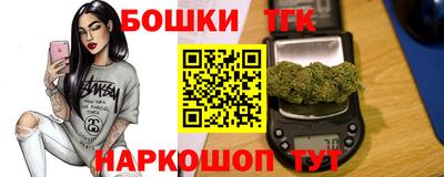 индика Будённовск